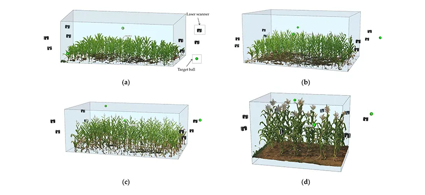 Applications of 3D Laser Scanning in Agriculture